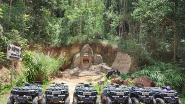 Kong Forest