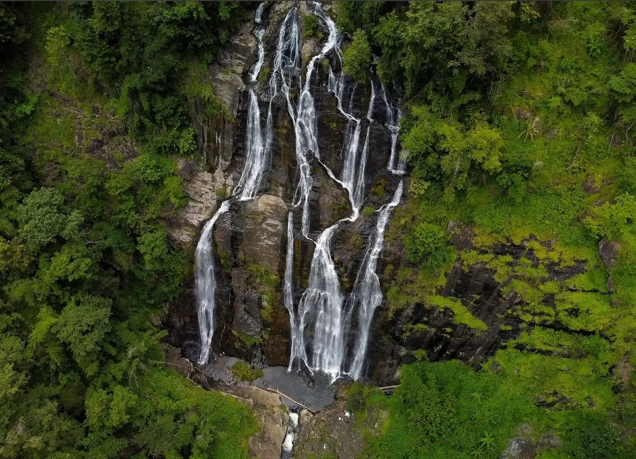 Нячанг онлайн