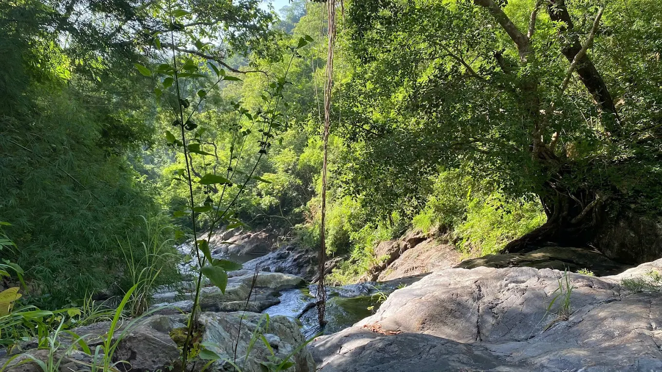 Нячанг онлайн