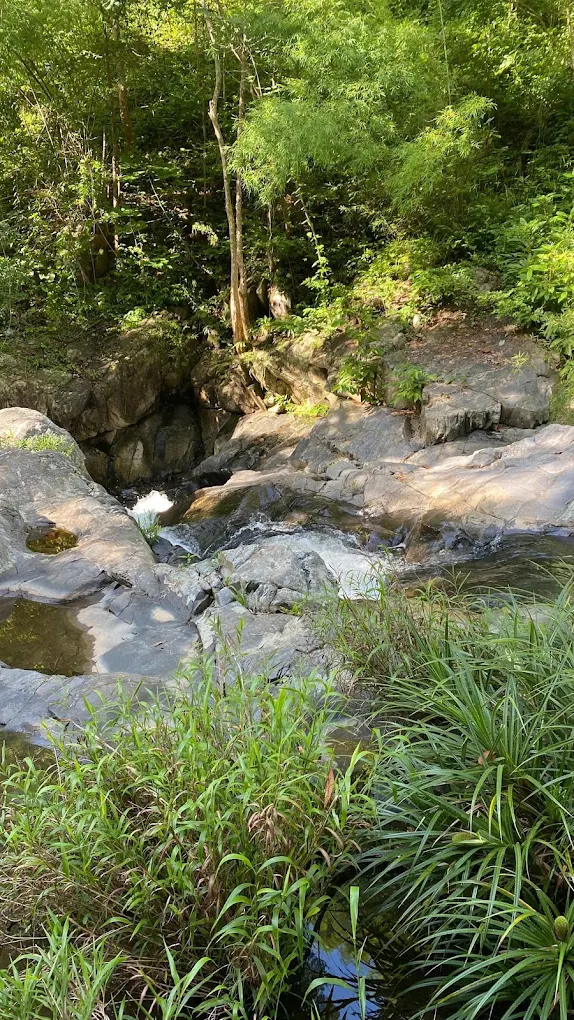 Нячанг онлайн