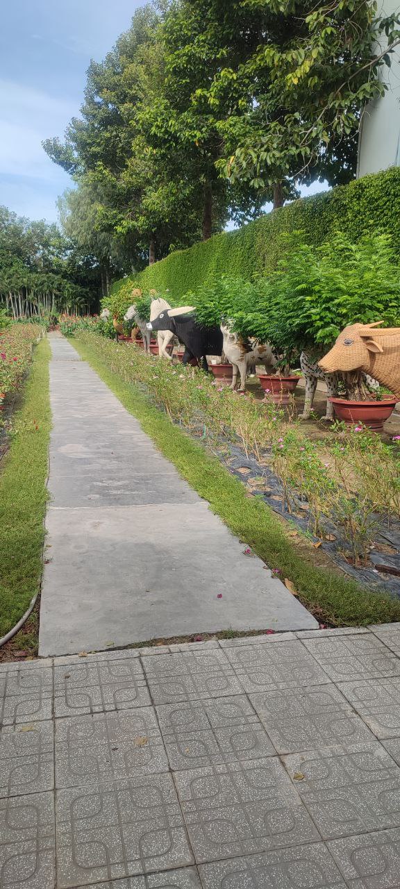 Нячанг онлайн