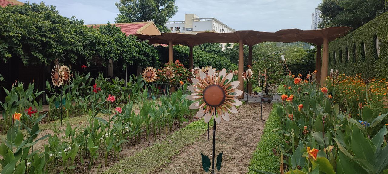 Нячанг онлайн