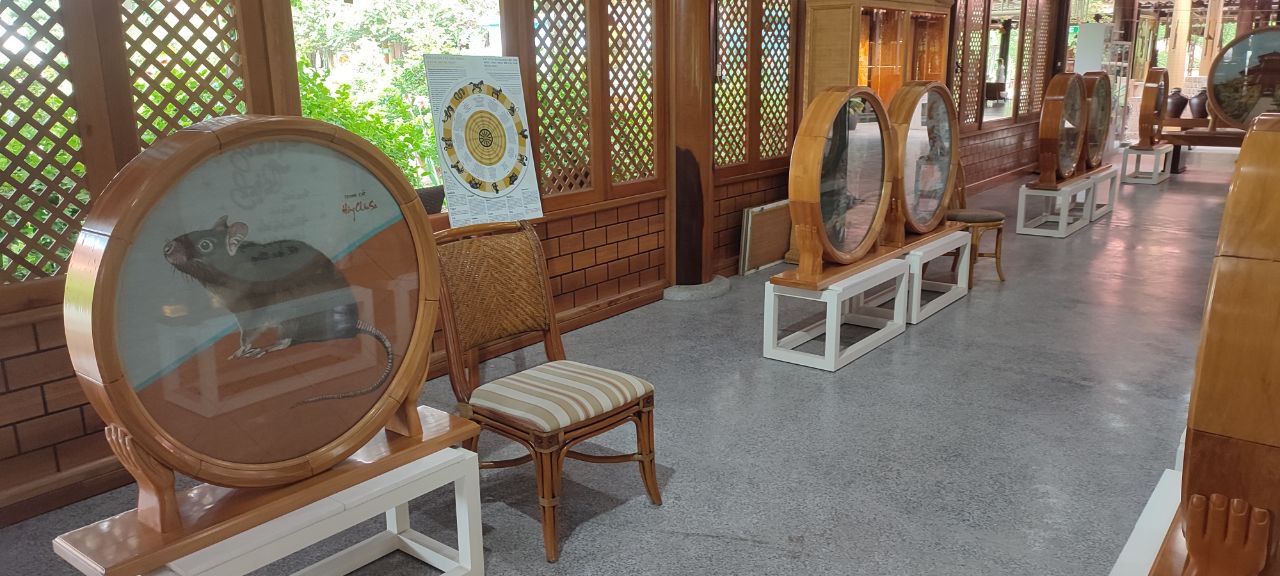 Нячанг онлайн