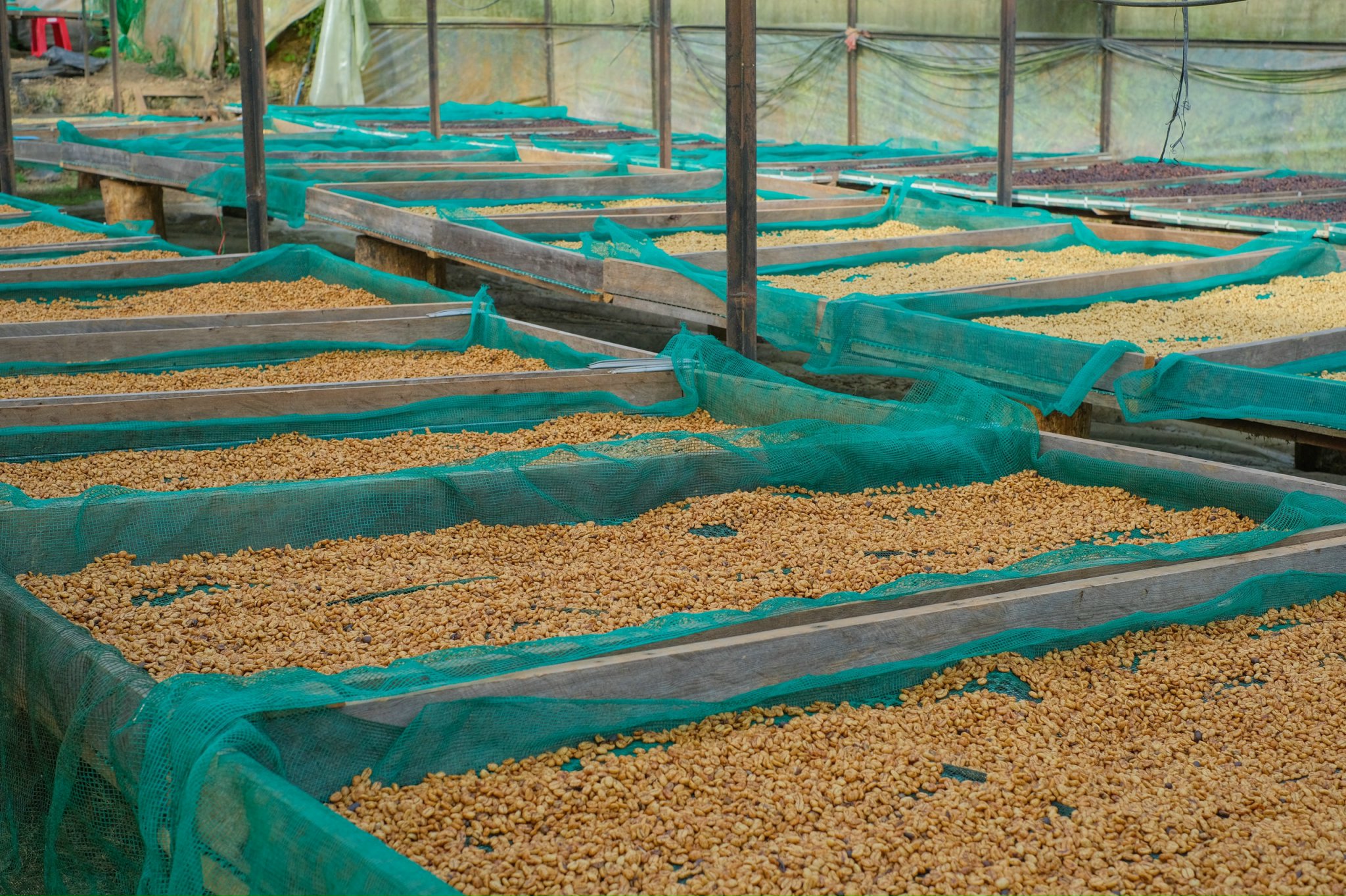 ☕ 14:30 — Кофейная фабрика La Viet