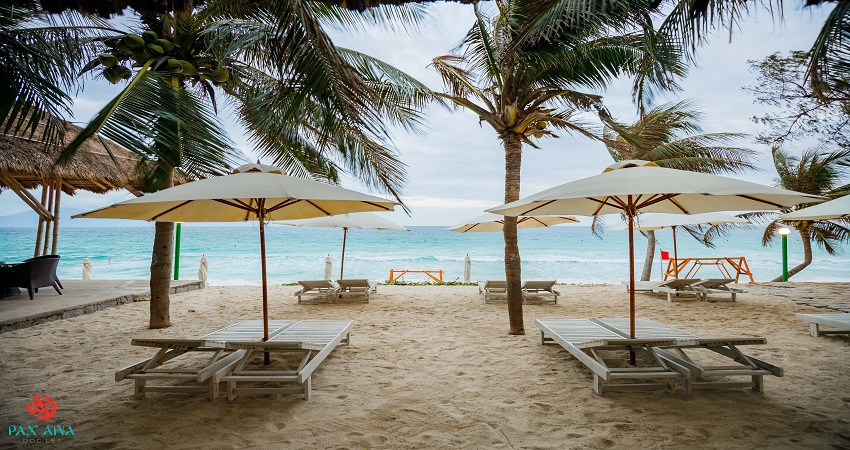 Нячанг онлайн