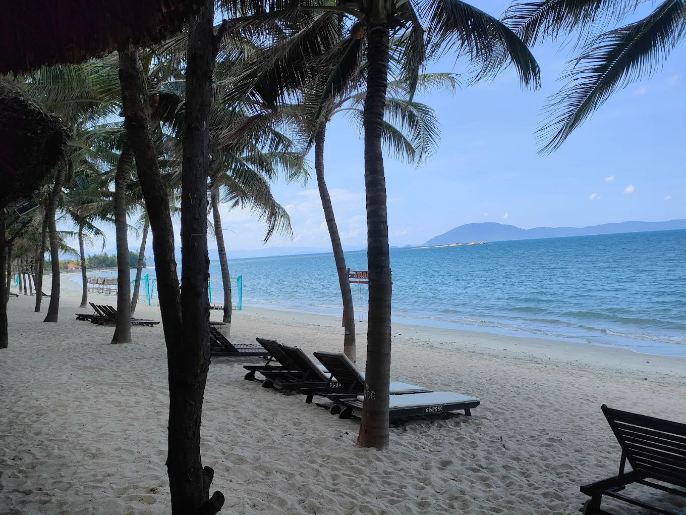 Нячанг онлайн