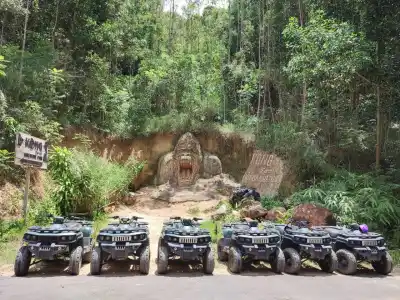 Kong Forest