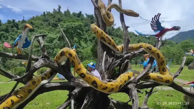 Нячанг онлайн