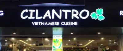 Ресторан Cilantro